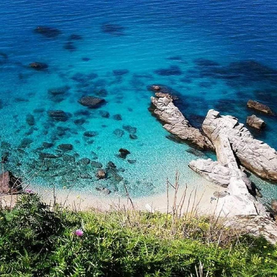 Ninfa Sul Mare Apartments 50 M E T R I Dal Mare Best Breakfast And Free Parking Capo Vaticano Εξωτερικό φωτογραφία