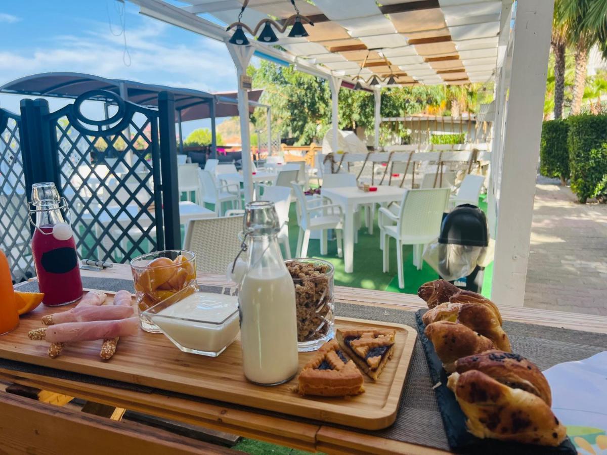 Ninfa Sul Mare Apartments 50 M E T R I Dal Mare Best Breakfast And Free Parking Capo Vaticano Εξωτερικό φωτογραφία